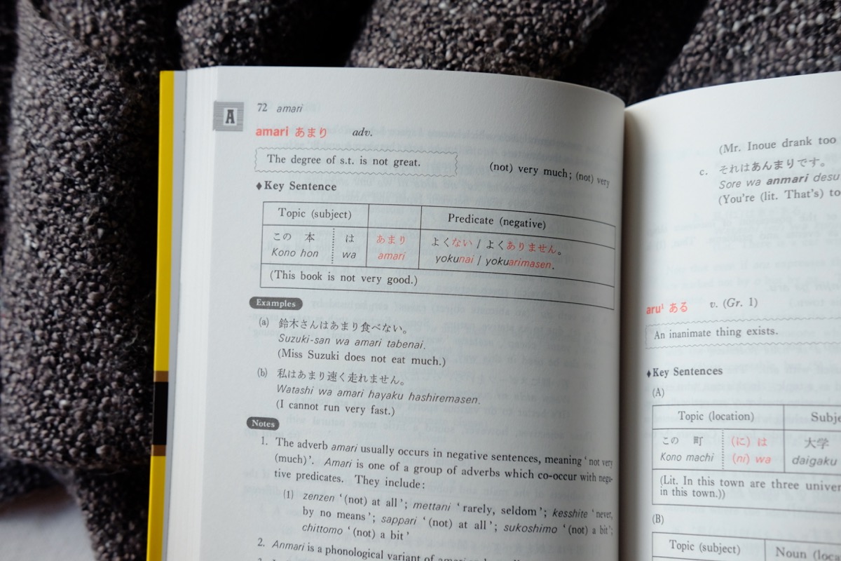 Review A Dictionary Of Basic Japanese Grammar Japanese Tease