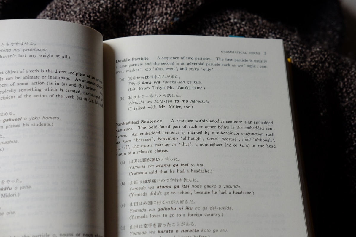 Review: A dictionary of basic Japanese grammar