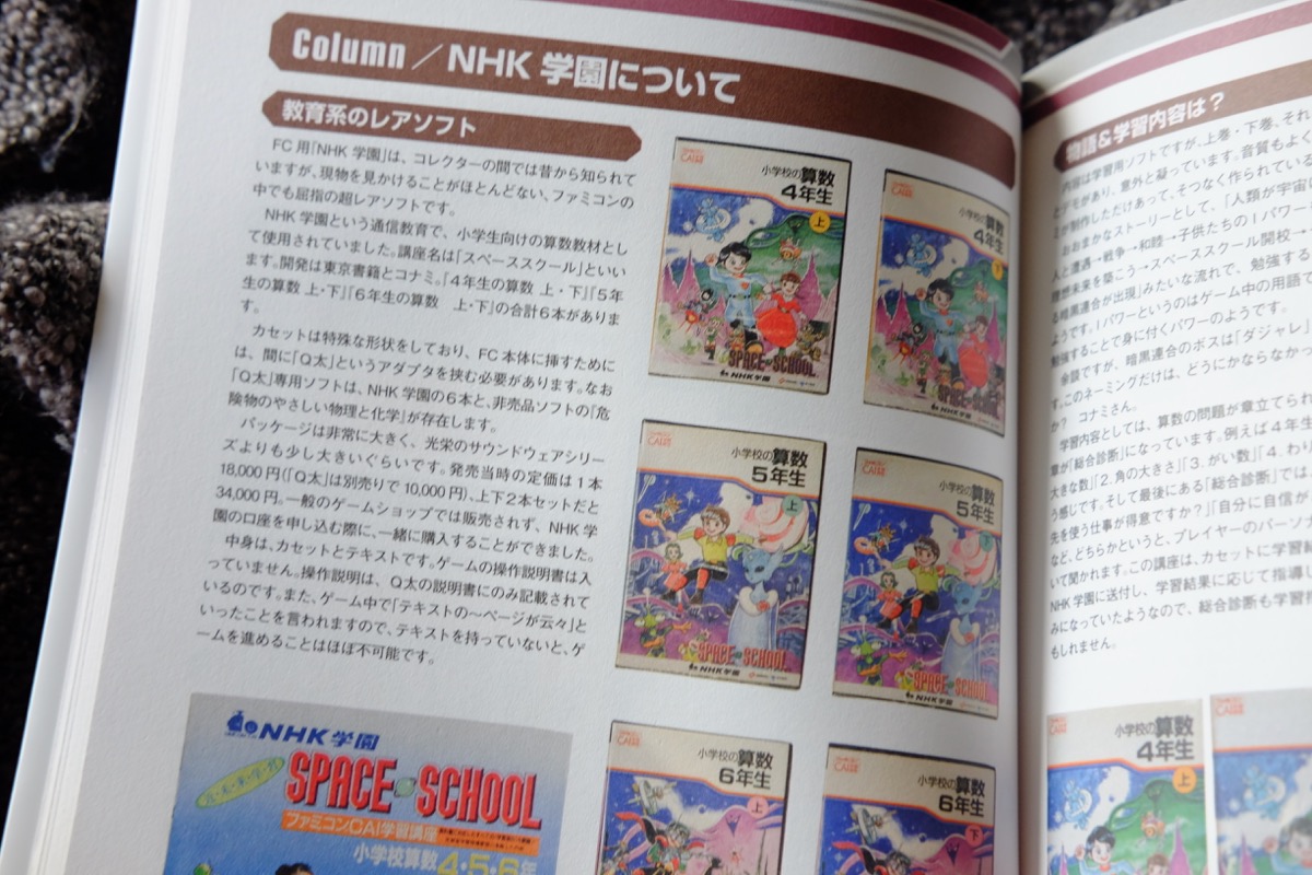 Japanese special edition games guide book