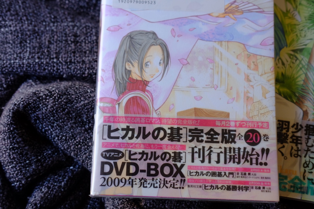 hikaru no go japanese edition