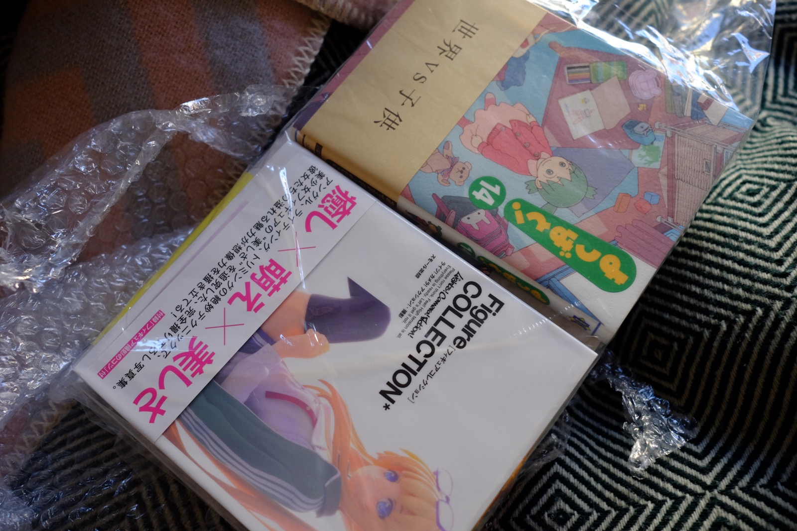 Got some new Japanese books today