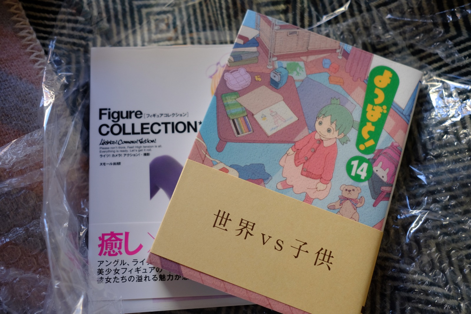 Got some new Japanese books today